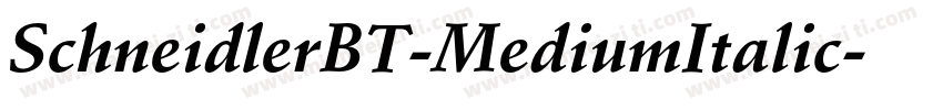 SchneidlerBT-MediumItalic字体转换