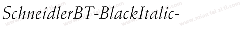 SchneidlerBT-BlackItalic字体转换