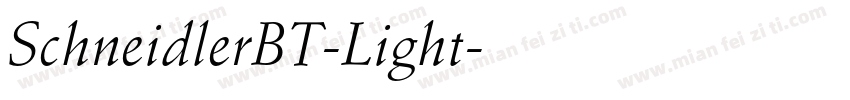 SchneidlerBT-Light字体转换