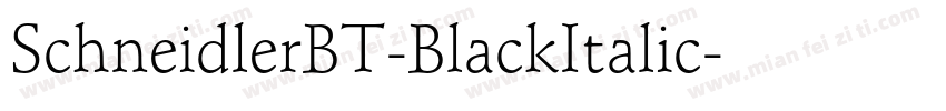 SchneidlerBT-BlackItalic字体转换