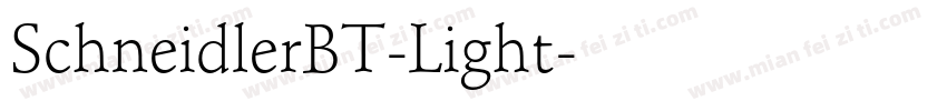 SchneidlerBT-Light字体转换