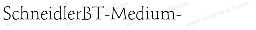 SchneidlerBT-Medium字体转换