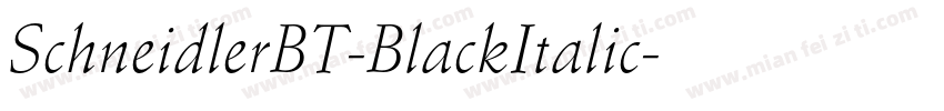 SchneidlerBT-BlackItalic字体转换