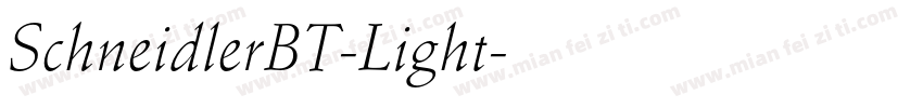 SchneidlerBT-Light字体转换