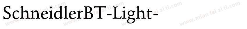 SchneidlerBT-Light字体转换