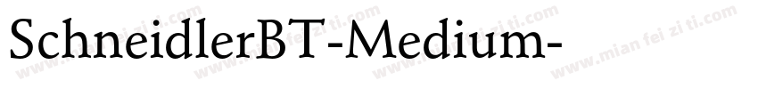 SchneidlerBT-Medium字体转换