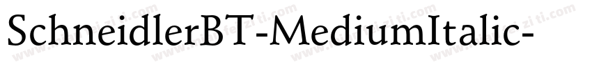 SchneidlerBT-MediumItalic字体转换