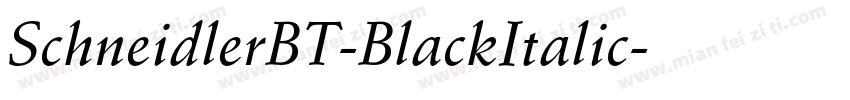 SchneidlerBT-BlackItalic字体转换