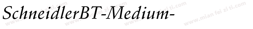 SchneidlerBT-Medium字体转换