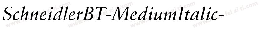 SchneidlerBT-MediumItalic字体转换