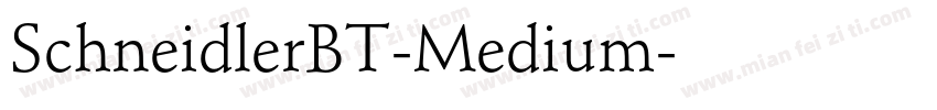 SchneidlerBT-Medium字体转换