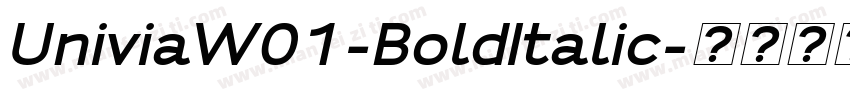 UniviaW01-BoldItalic字体转换