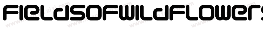 fieldsofwildflowers字体转换