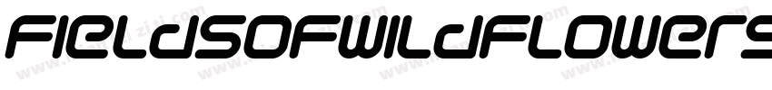 fieldsofwildflowers字体转换