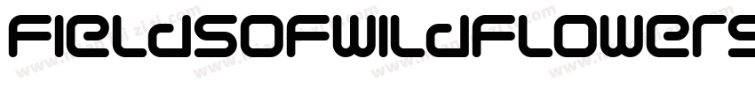 fieldsofwildflowers字体转换