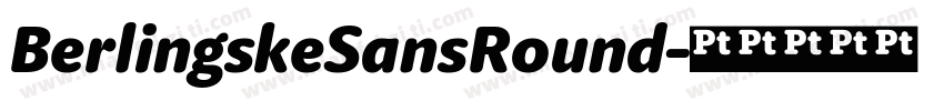 BerlingskeSansRound字体转换