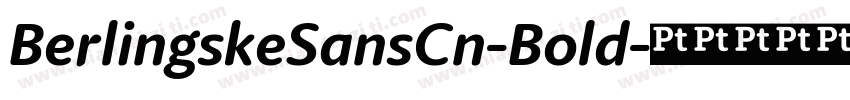 BerlingskeSansCn-Bold字体转换