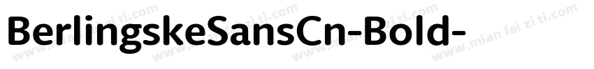 BerlingskeSansCn-Bold字体转换