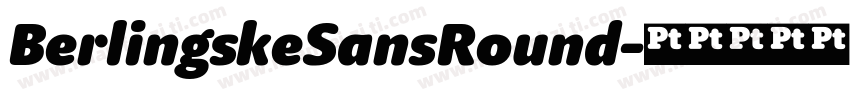 BerlingskeSansRound字体转换