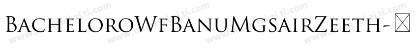 BacheloroWfBanuMgsairZeeth字体转换