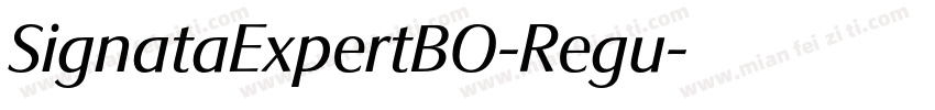 SignataExpertBO-Regu字体转换