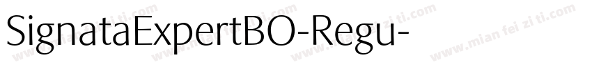 SignataExpertBO-Regu字体转换