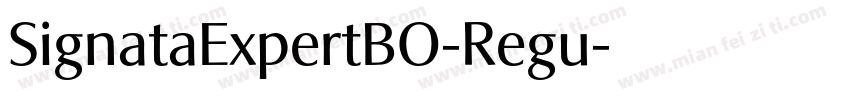 SignataExpertBO-Regu字体转换