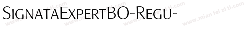 SignataExpertBO-Regu字体转换