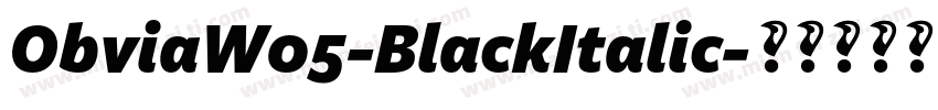 ObviaW05-BlackItalic字体转换