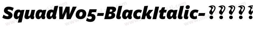 SquadW05-BlackItalic字体转换