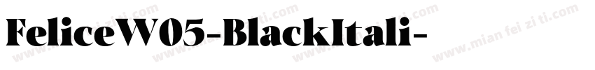 FeliceW05-BlackItali字体转换