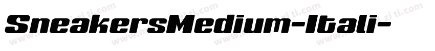 SneakersMedium-Itali字体转换