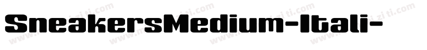 SneakersMedium-Itali字体转换