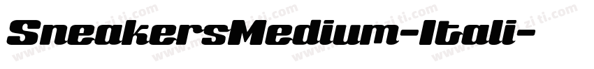 SneakersMedium-Itali字体转换