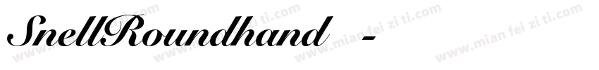 SnellRoundhand手机版字体转换