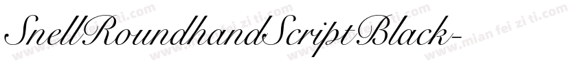 SnellRoundhandScriptBlack字体转换