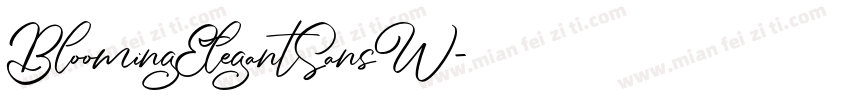 BloomingElegantSansW字体转换