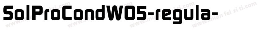 SolProCondW05-regula字体转换