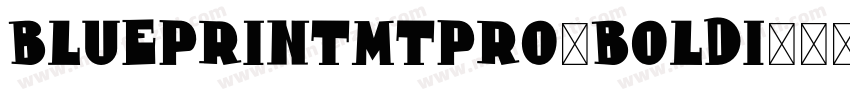 BlueprintMTPro-BoldI字体转换
