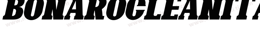 BonaroCleanItalicDemoCleanItalic-PKV6d字体转换