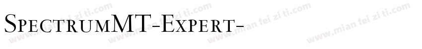 SpectrumMT-Expert字体转换