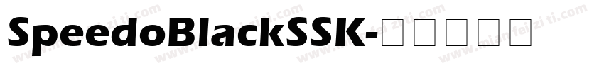 SpeedoBlackSSK字体转换