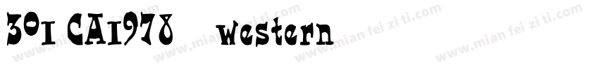 301-CA1978-普通(western)字体转换