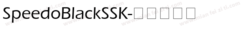 SpeedoBlackSSK字体转换