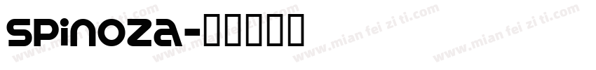 Spinoza字体转换
