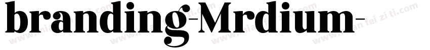 branding-Mrdium字体转换