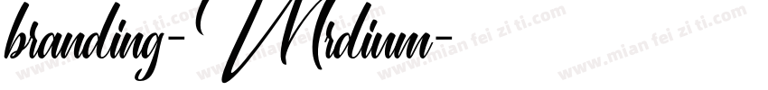 branding-Mrdium字体转换