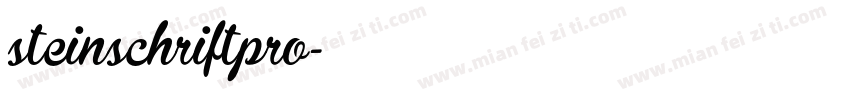 steinschriftpro字体转换