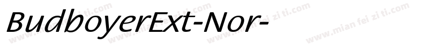BudboyerExt-Nor字体转换