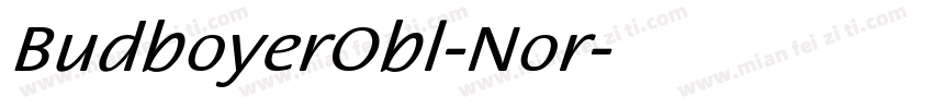 BudboyerObl-Nor字体转换